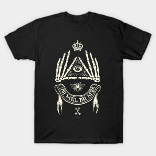 Ubi Mel Ibi Apes T-Shirt